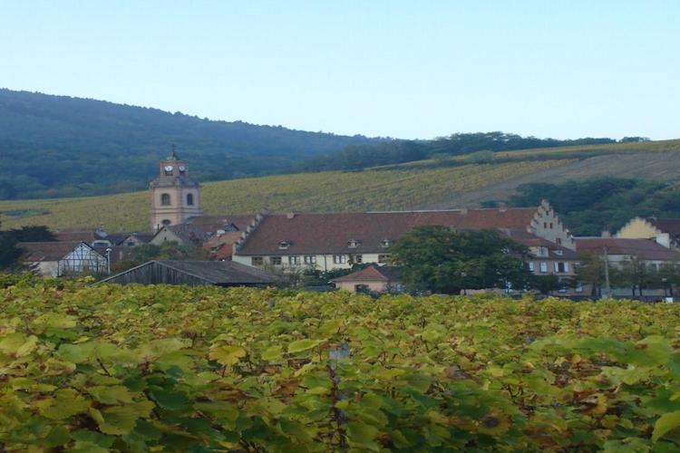 An Apartment In A 17Th Century Wine Grower S House Riquewihr Dış mekan fotoğraf